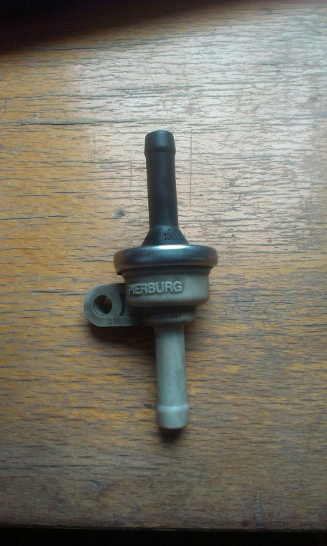 IMAG0454.jpg