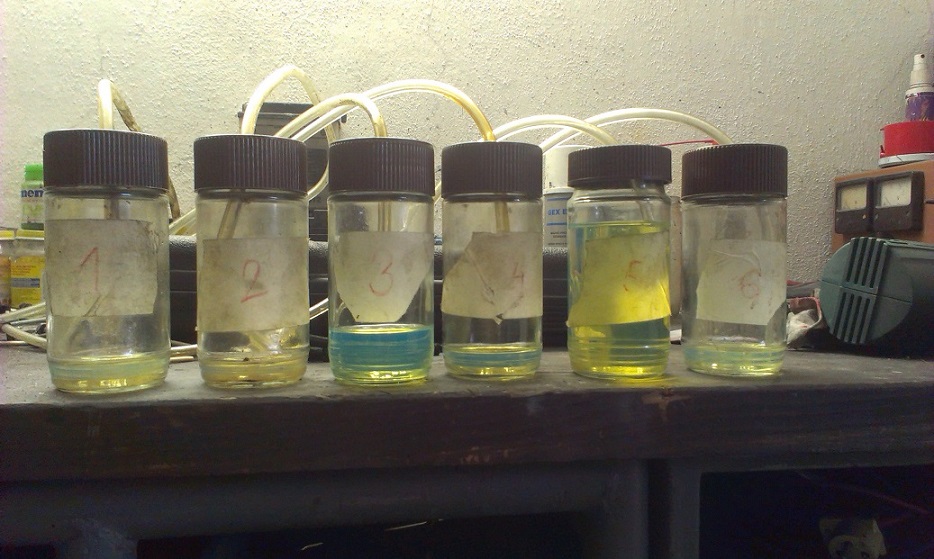 IMAG0576.jpg