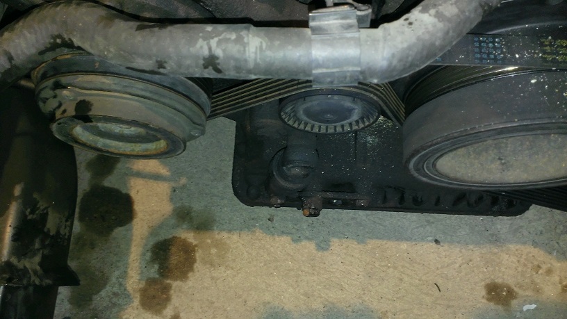 WP_20131104_002.jpg