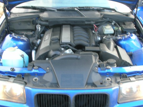 DSCN1135.JPG
