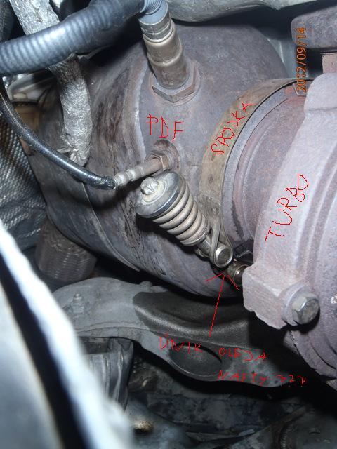 P9140096aa.JPG