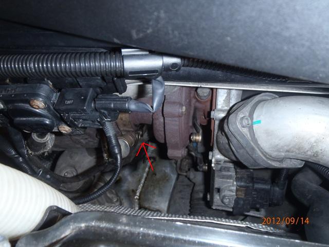 P9140095aa.JPG