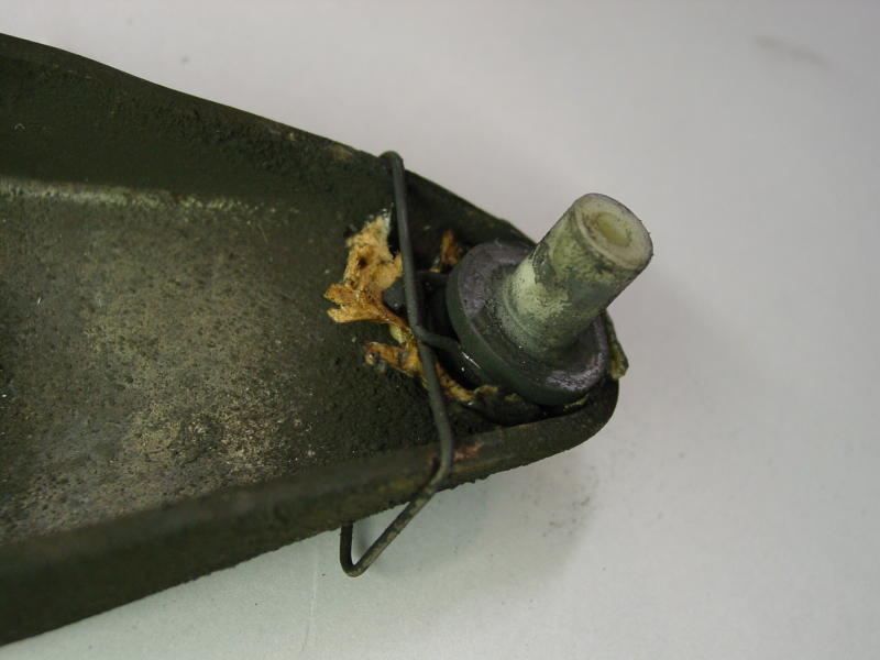 pica1.jpg