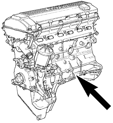 m50.jpg