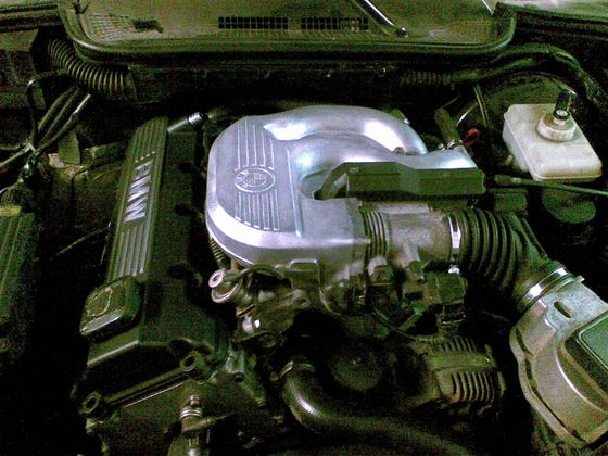 13032009.jpg