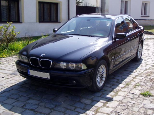 P1010006.JPG