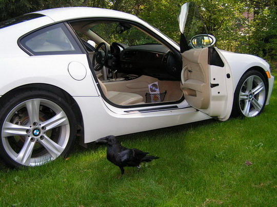 Snímek 062.jpg