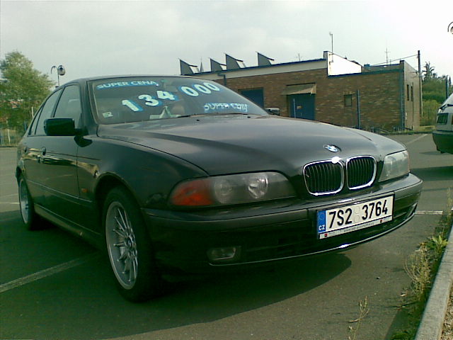 20092009.jpg