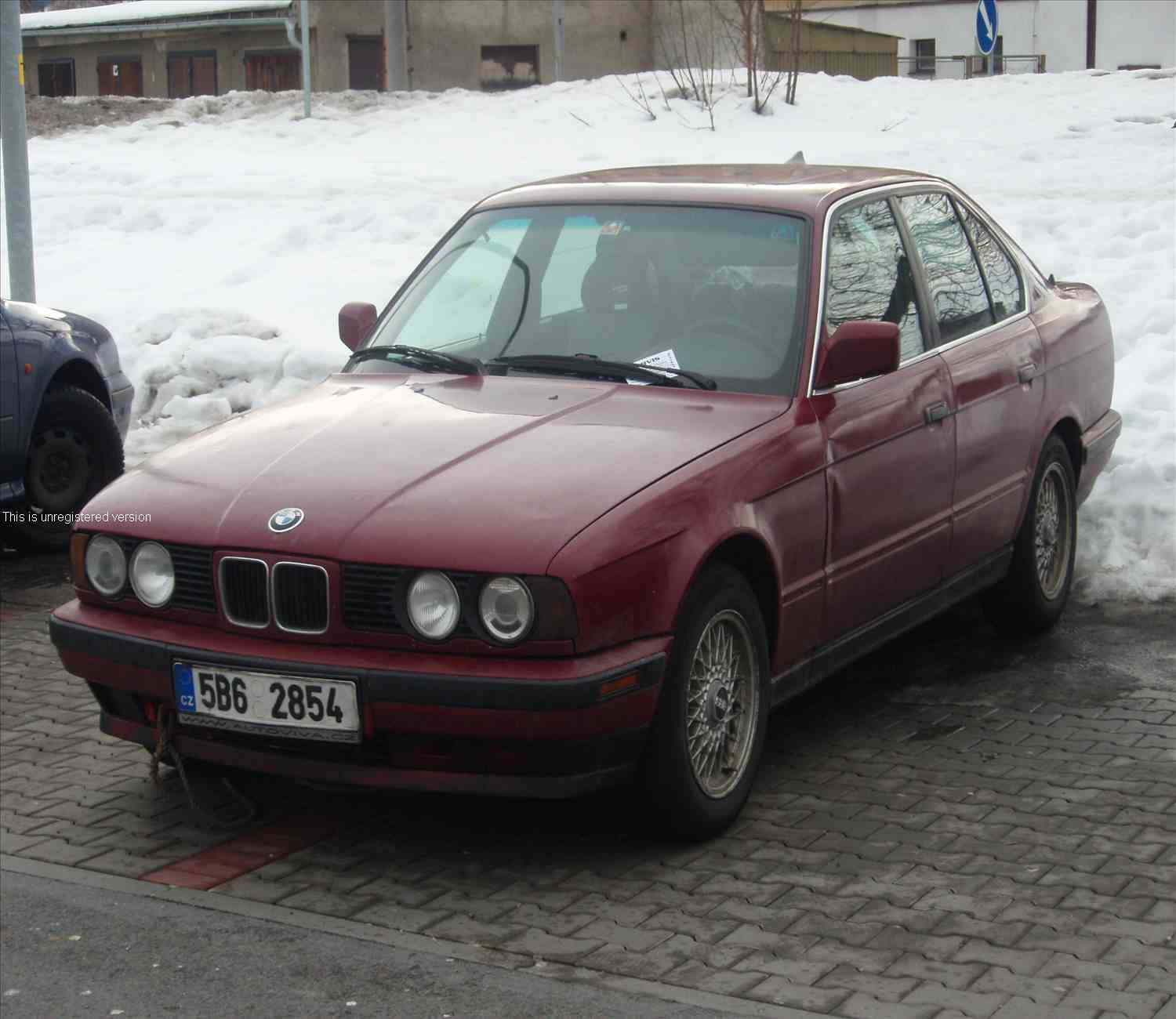 P1253987_out.jpg