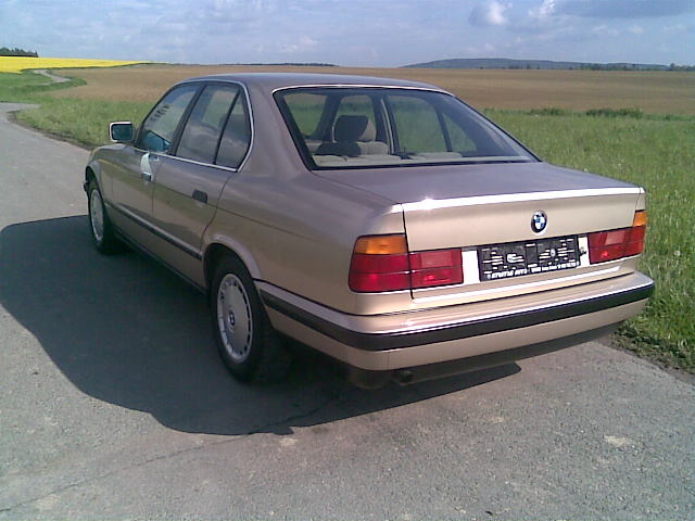 Obraz008.jpg