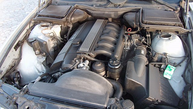 DSCF0618.jpg