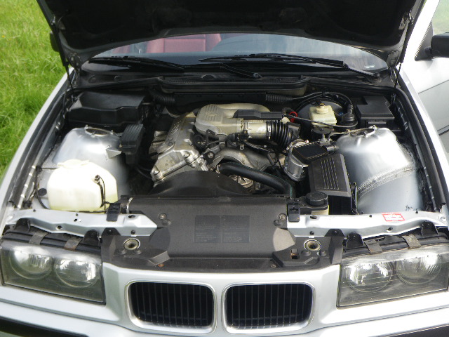 IMGP4824.JPG