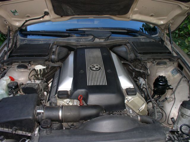 P1010136.JPG