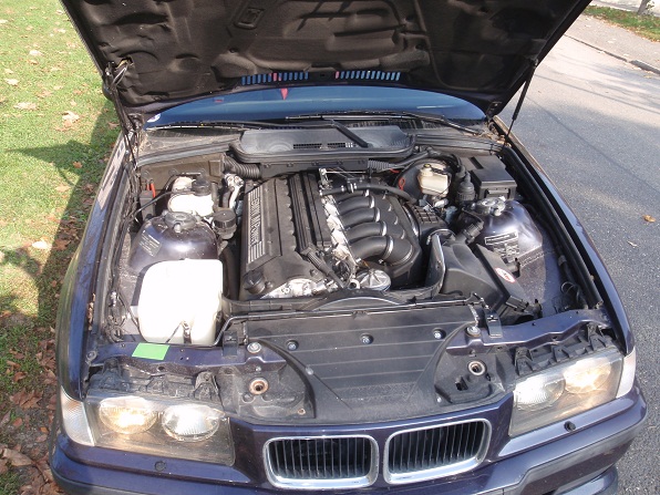 PA149489.JPG
