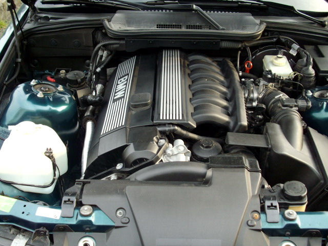 IMGP4407.jpg