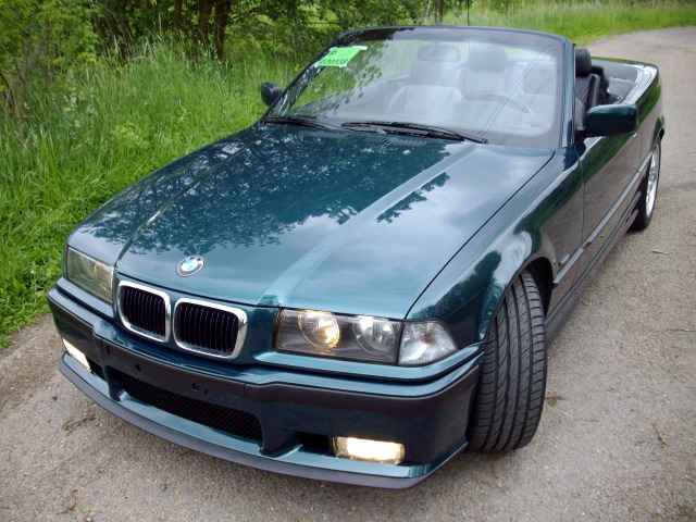 IMGP4616.jpg