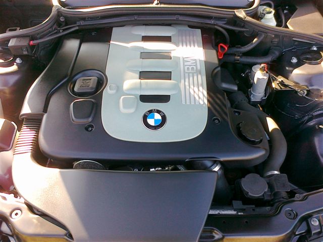foto_E46_004.jpg