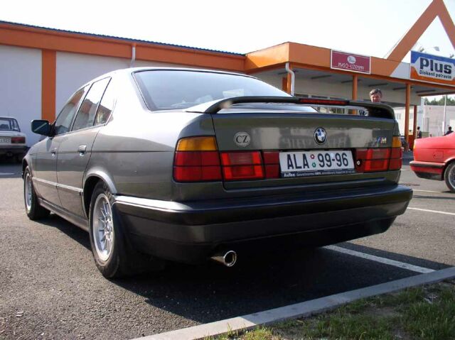 Pivson_7240250.jpg