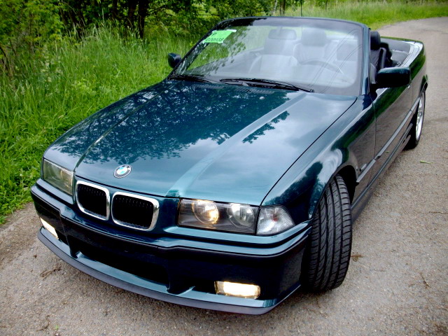 IMGP4616.jpg