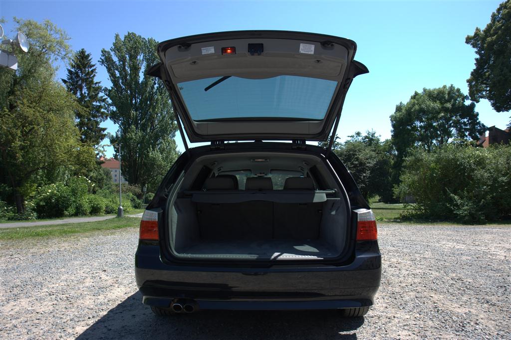 11 (Large).jpg