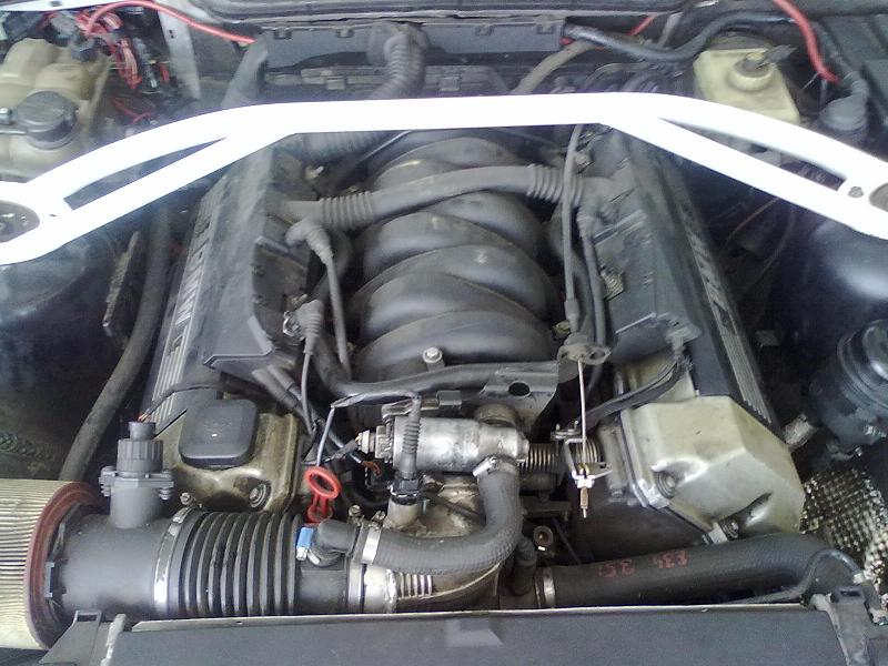 03062011661.jpg