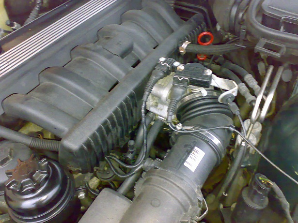 09012006317.jpg