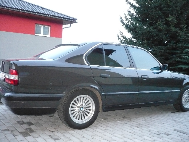 P1130061.JPG