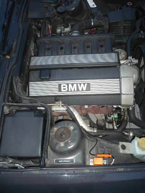P1130085.JPG
