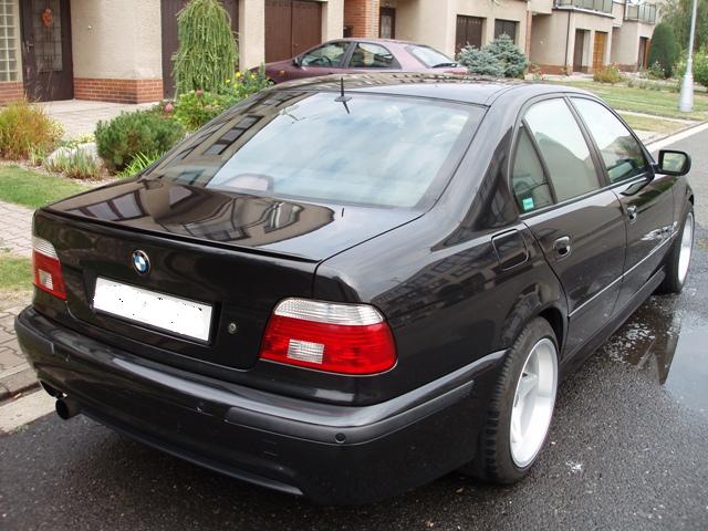 p9150002zadek1.jpg