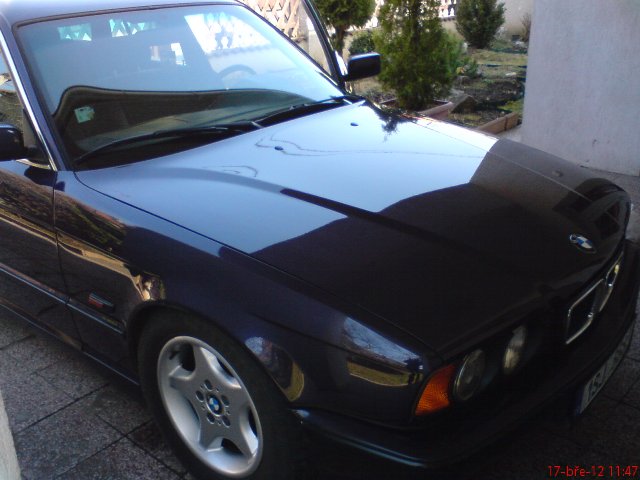 DSC02485.JPG