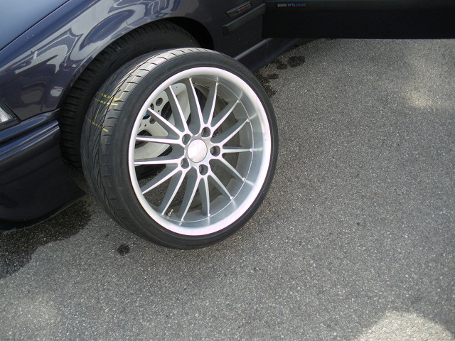 IMGP2674.jpg
