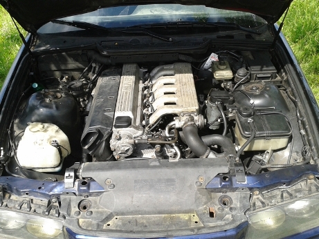 20130529_103931.jpg