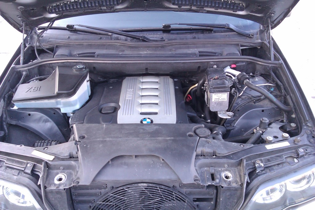 IMAG0050 - Copy.jpg
