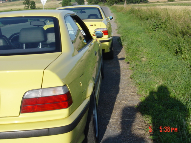 žlu?ásci 008.jpg