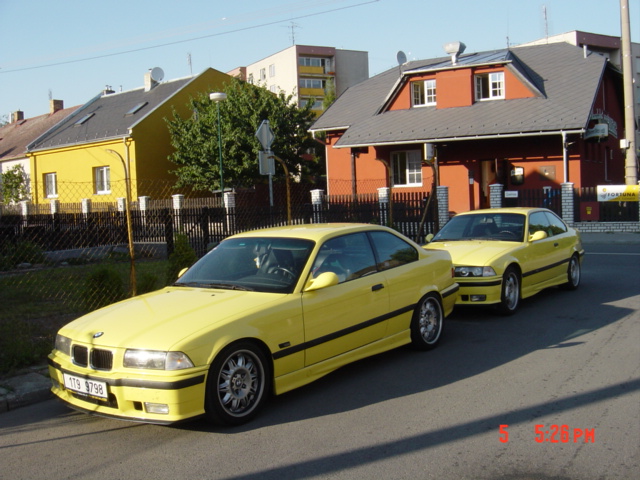 žlu?ásci 001.jpg