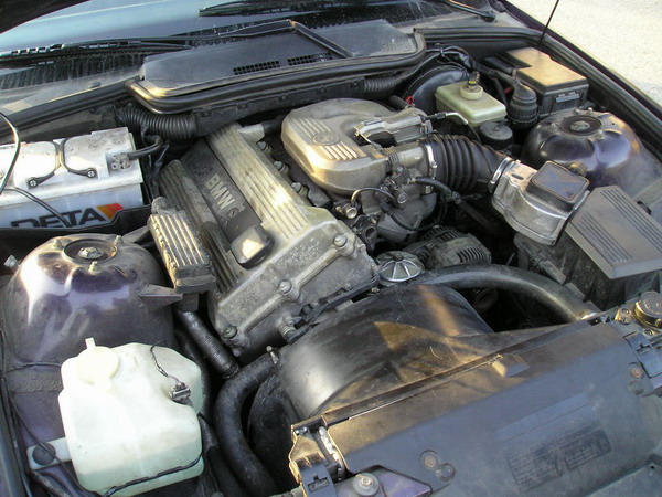 P4200450_resize.JPG