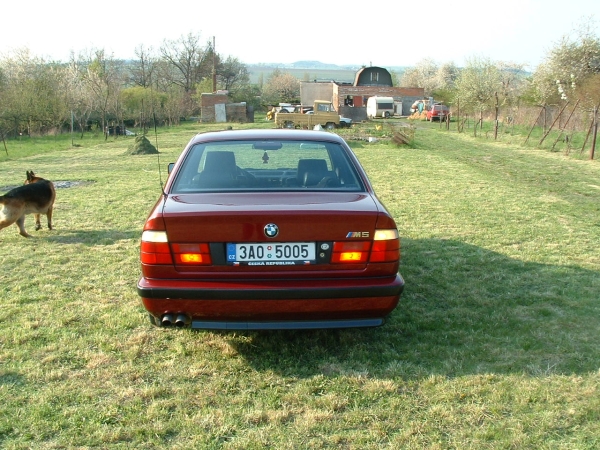 DSCF0065.jpg