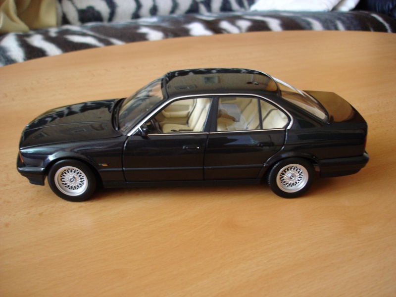 DSC02890.jpg