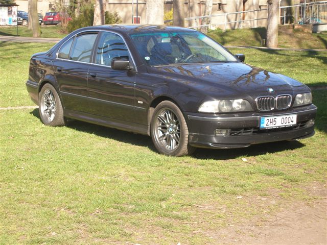 tds 013.jpg
