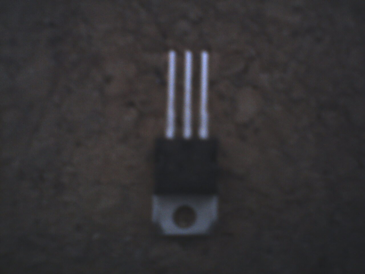 IMG019.JPG