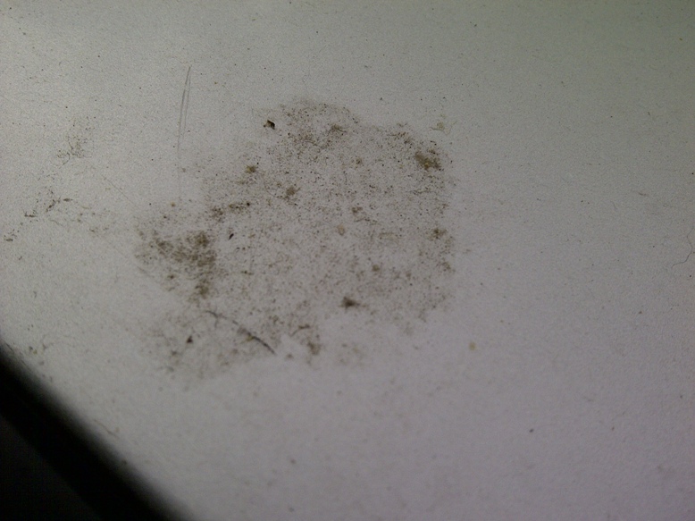 IMG-20120402-00019.jpg