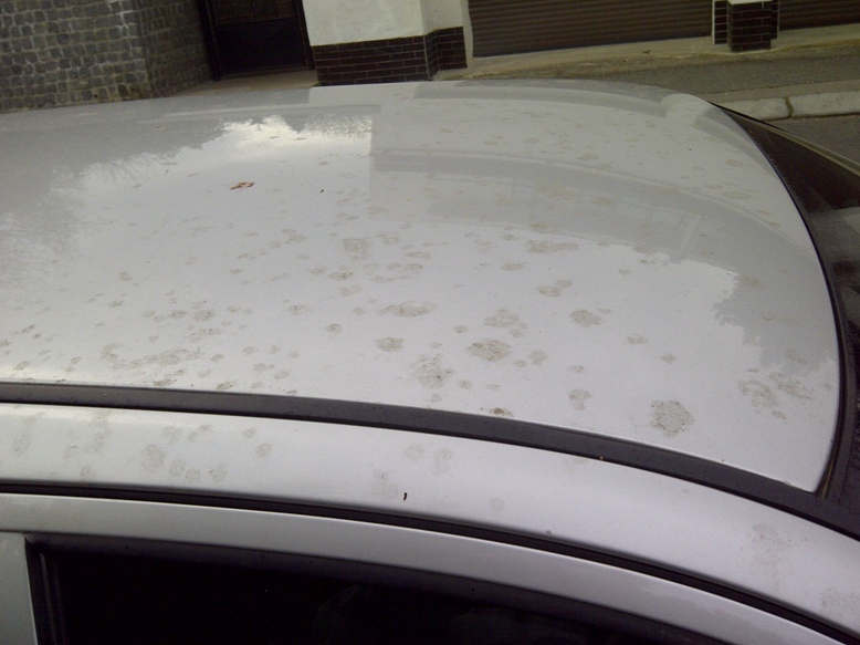 IMG-20120402-00015.jpg