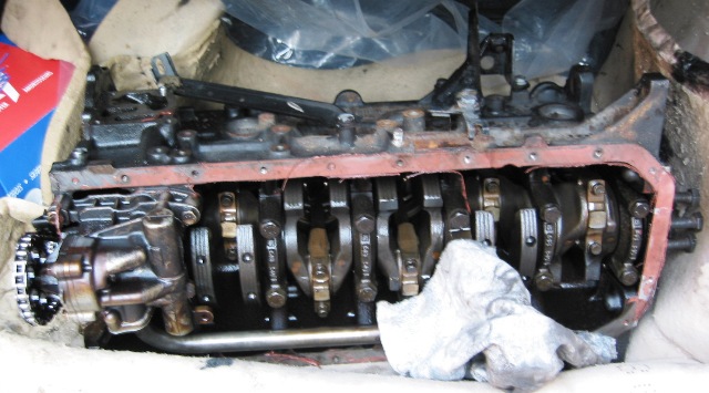 M50B25polomotor.JPG