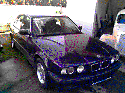 Obraz051.gif
