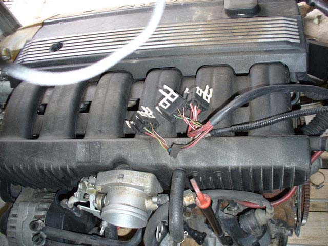 P1000138.jpg