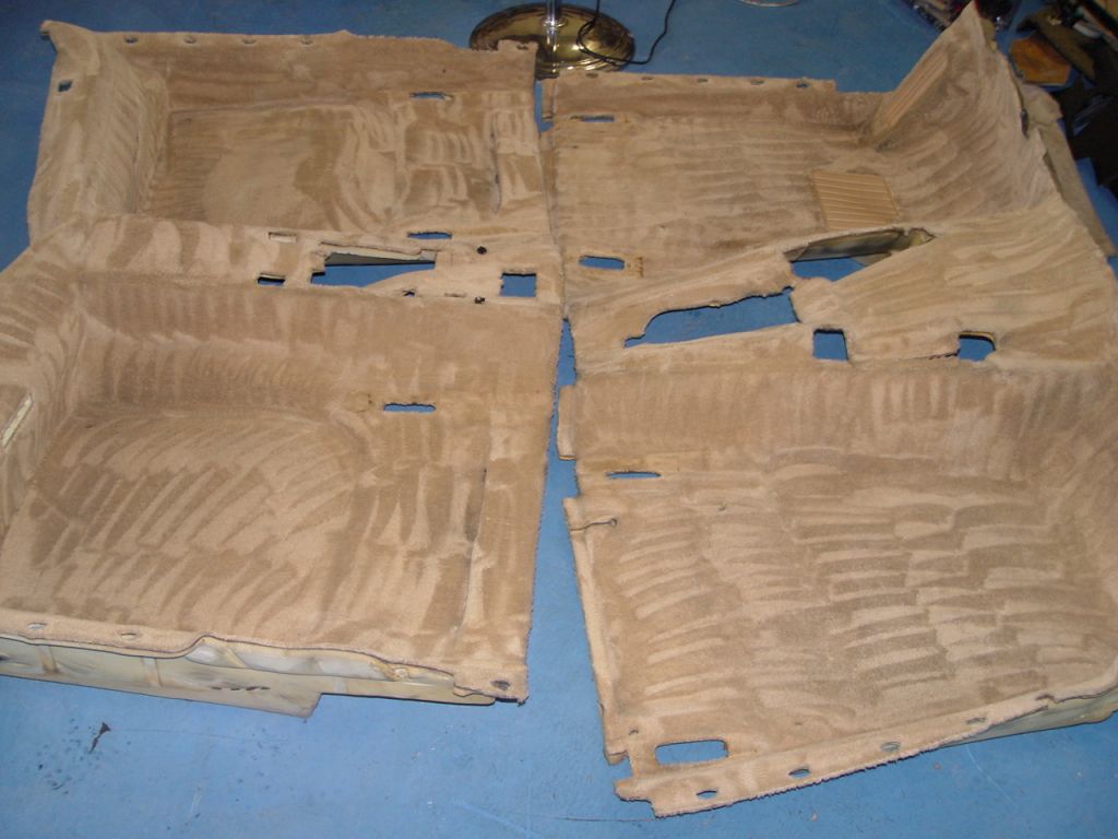 DSC04033-1024.jpg