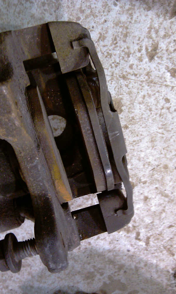 IMAG0442.jpg
