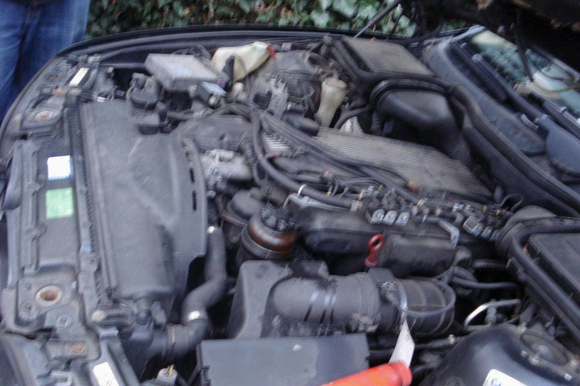 DSC06363.JPG