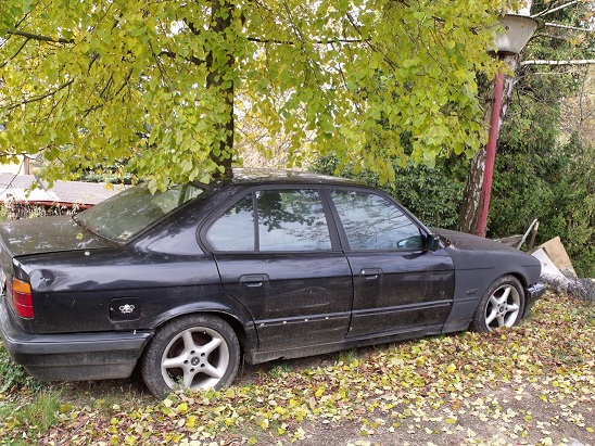 DSCF2426.JPG
