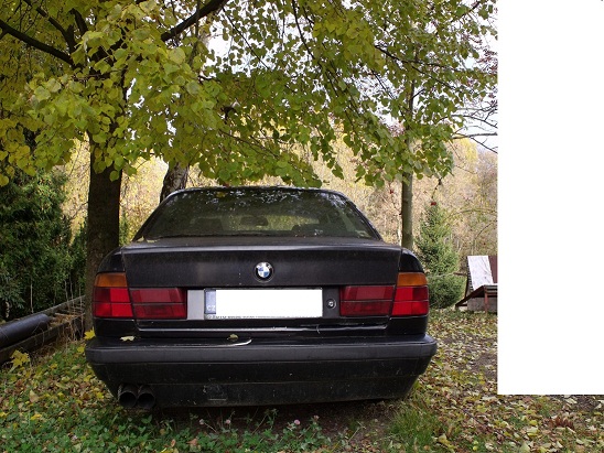 DSCF2434.JPG
